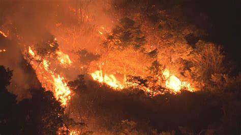 蛇山火事|山火事